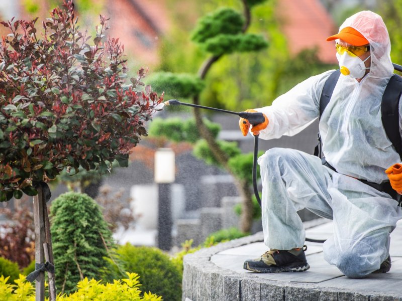 Köşk Haşere İlaçlama